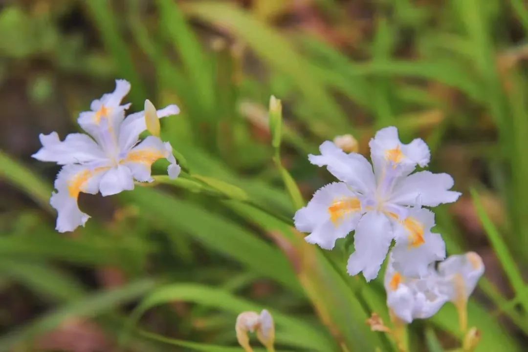 新葡的京集团8814vip(中国)股份有限公司-官方网站